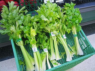 Celery (software)